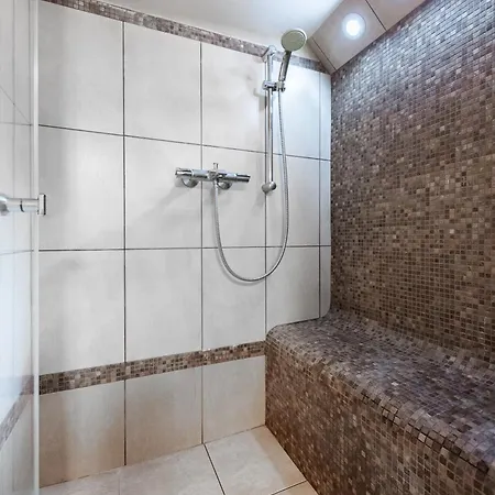 Chalet Alpina Horni Misecky